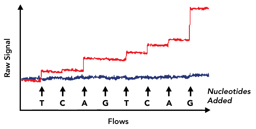 signal-graph-2